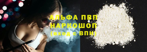 хмурый Осинники
