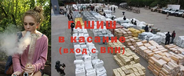 хмурый Осинники