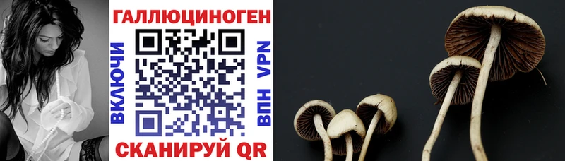 Галлюциногенные грибы Magic Shrooms  что такое   Янаул 