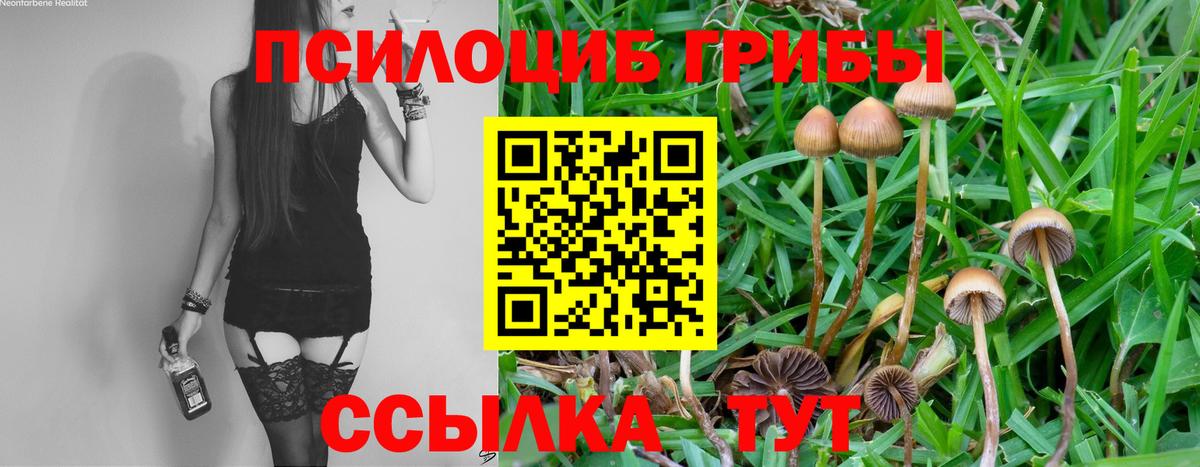 Галлюциногенные грибы ЛСД Янаул