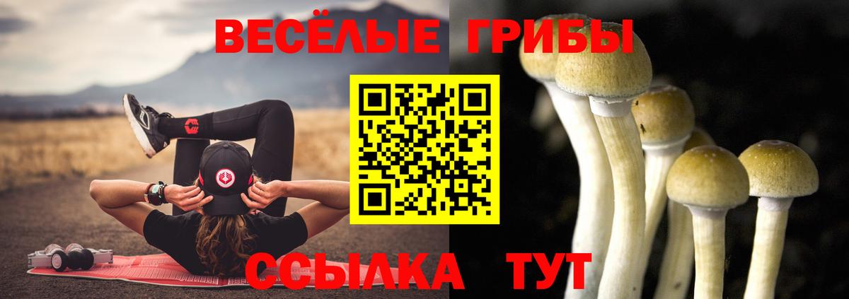 Янаул  Галлюциногенные грибы Psilocybe  Вход с VPN 